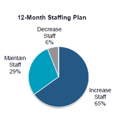 Labor Study Staffing Chart