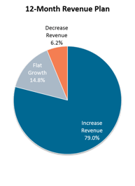 12-Month Revenue Plan