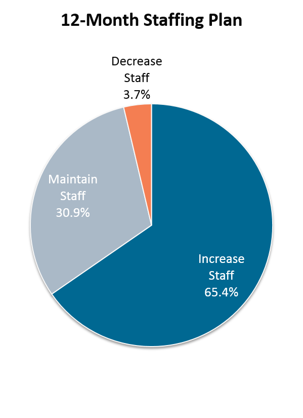 12-Month Staffing Plan